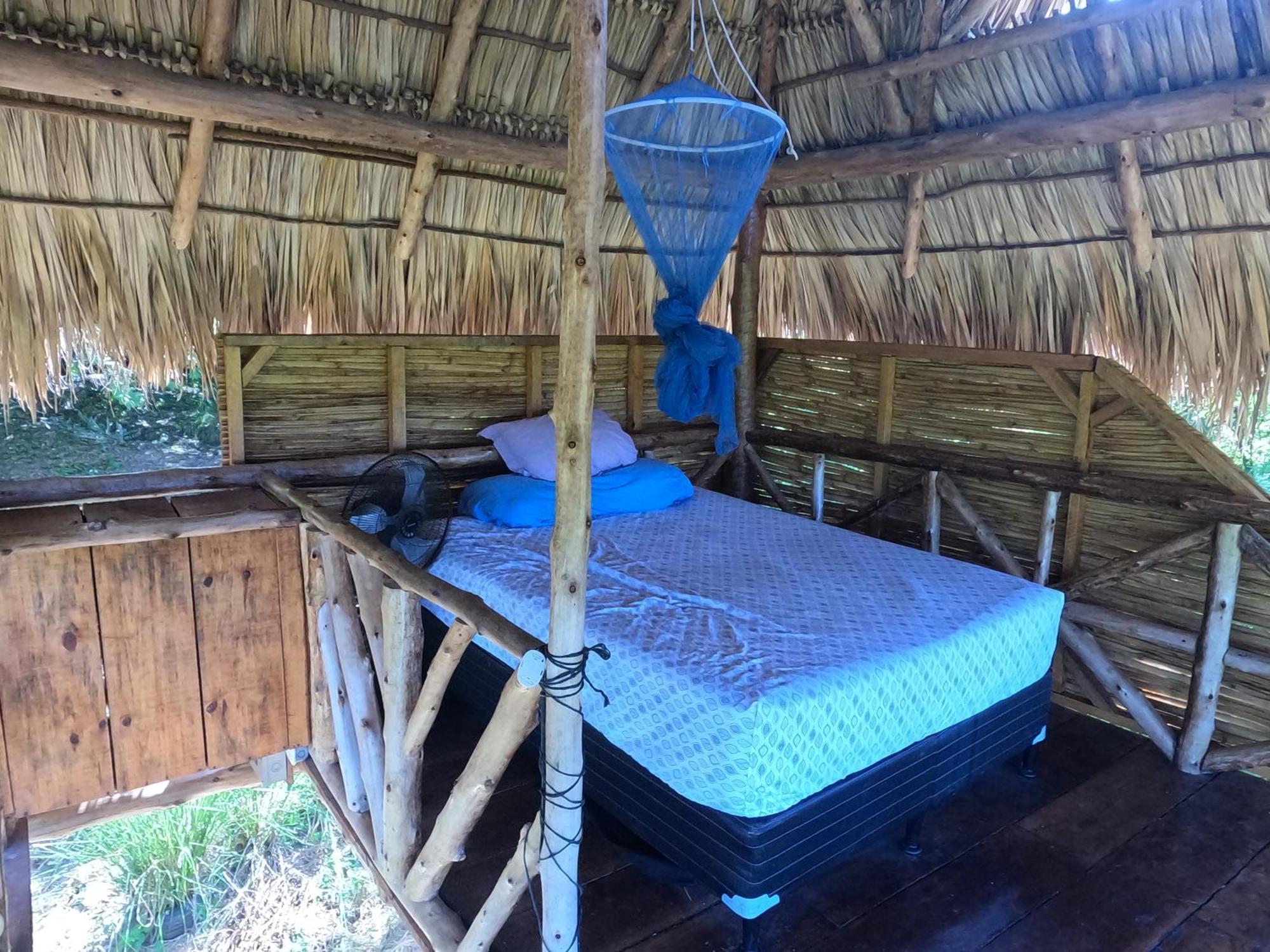 Palapa Hostel Transito Exterior foto